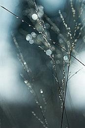 《UFO机器人古连泰沙：狼群盛宴》新实机视频展示